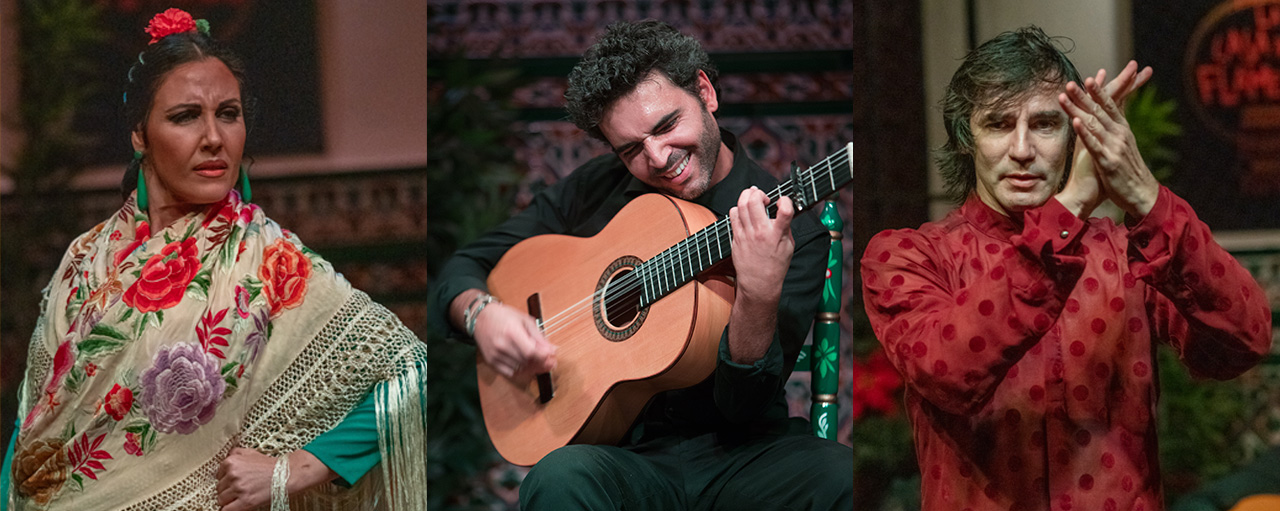 spectacle flamenco à seville